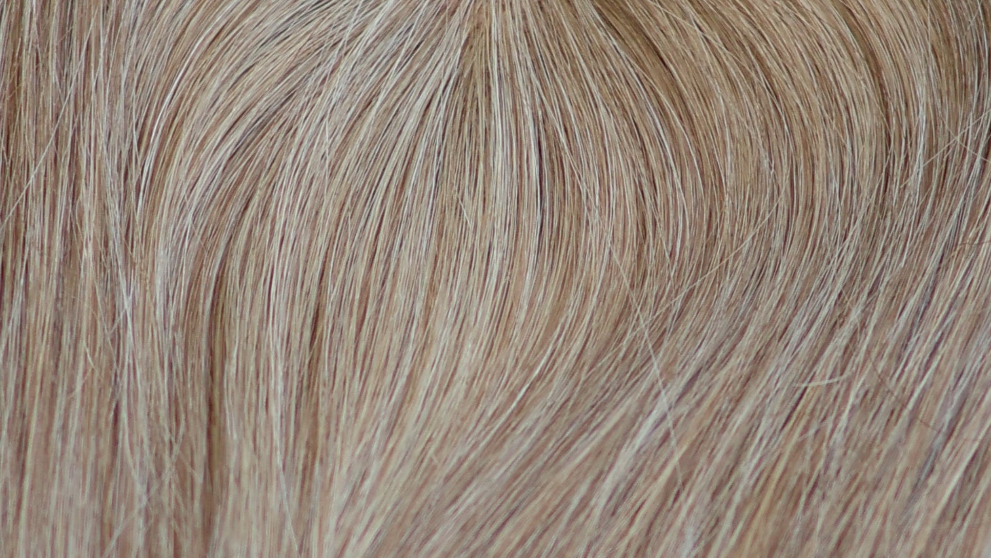 Light volume Topper