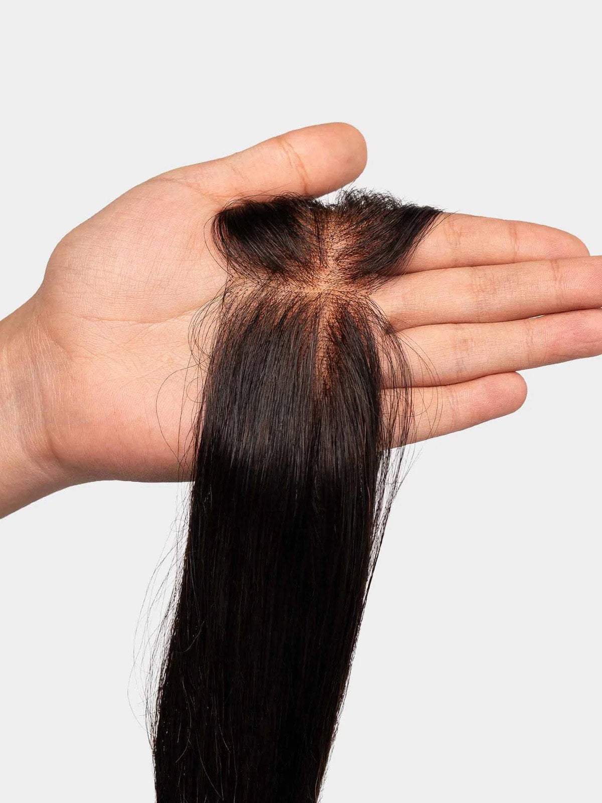 Receding Hairline Band