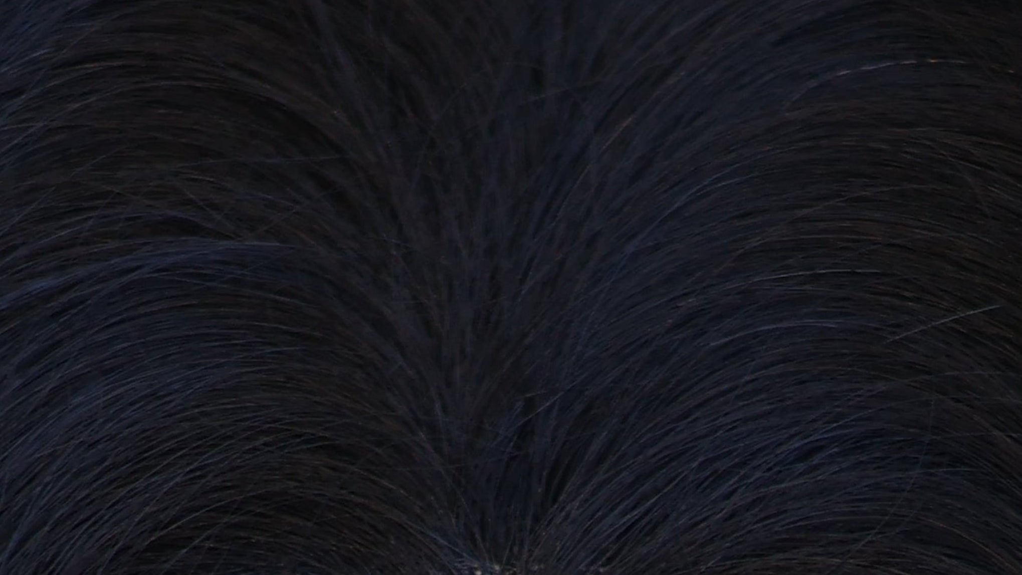 Light volume Topper