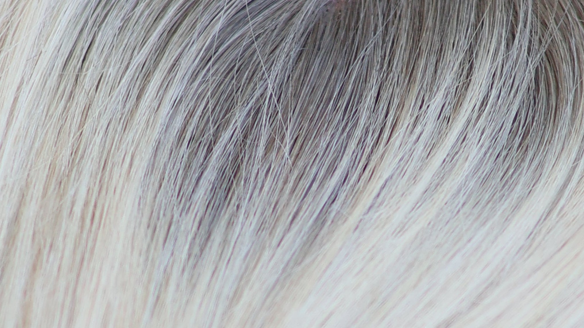 Light volume Topper