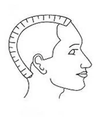 Measure Front to Nape