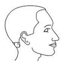 Measure the Nape of Your Neck